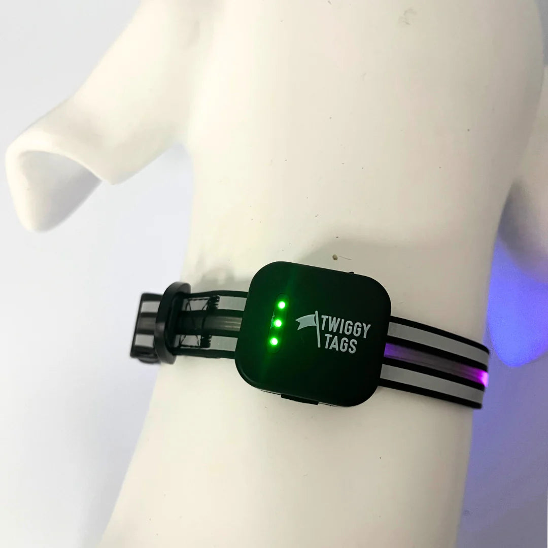 Twiggy Tags TrekBright™ Light-Up Collar