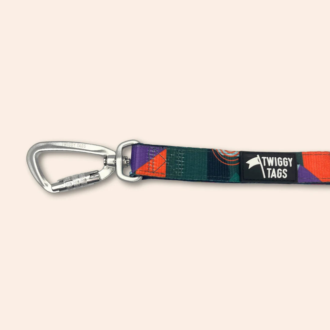 Twiggy Tags Adventure Lead - Aurora