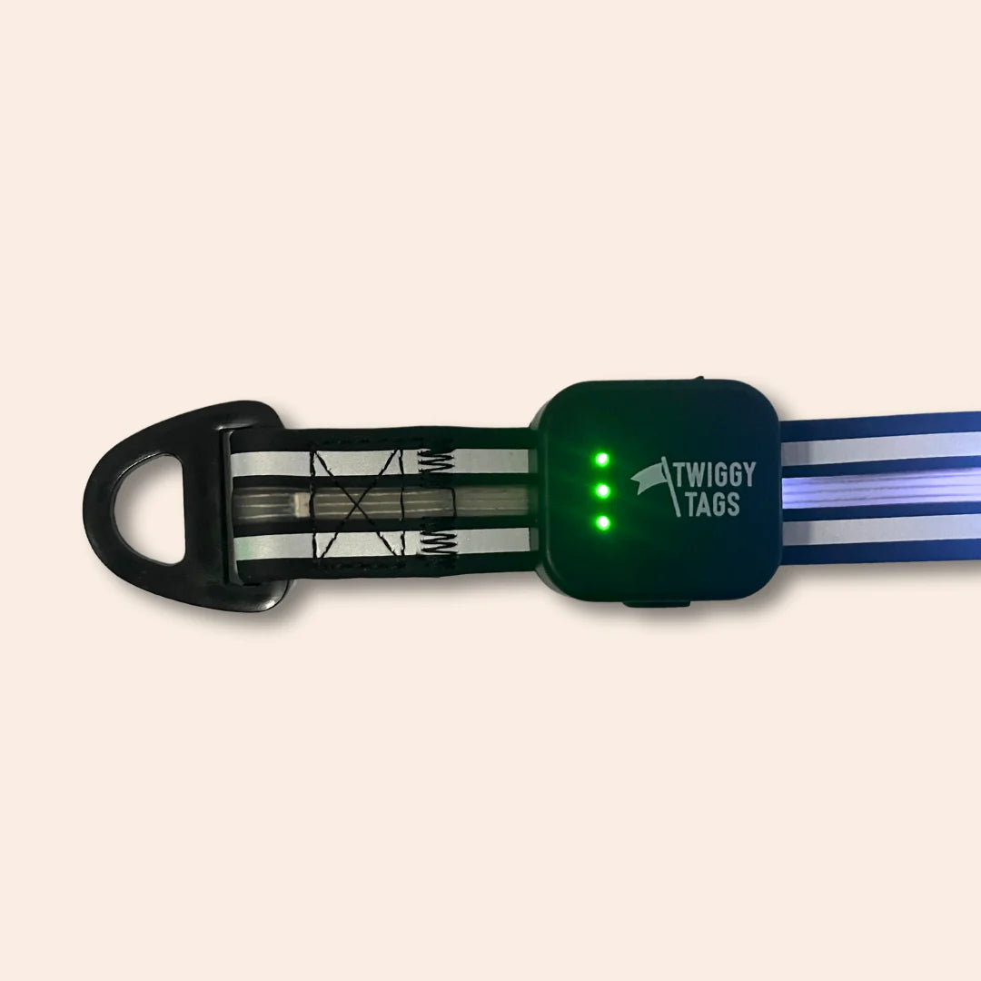 Twiggy Tags TrekBright™ Light-Up Lead Extension