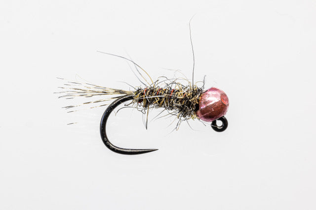 Alex Hayward Pink Squirrel