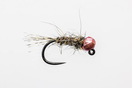 Alex Hayward Pink Squirrel