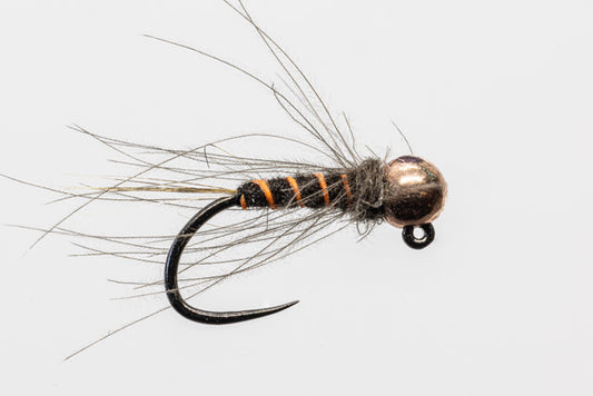 Adam Price-Hunt CDC Hot Rib