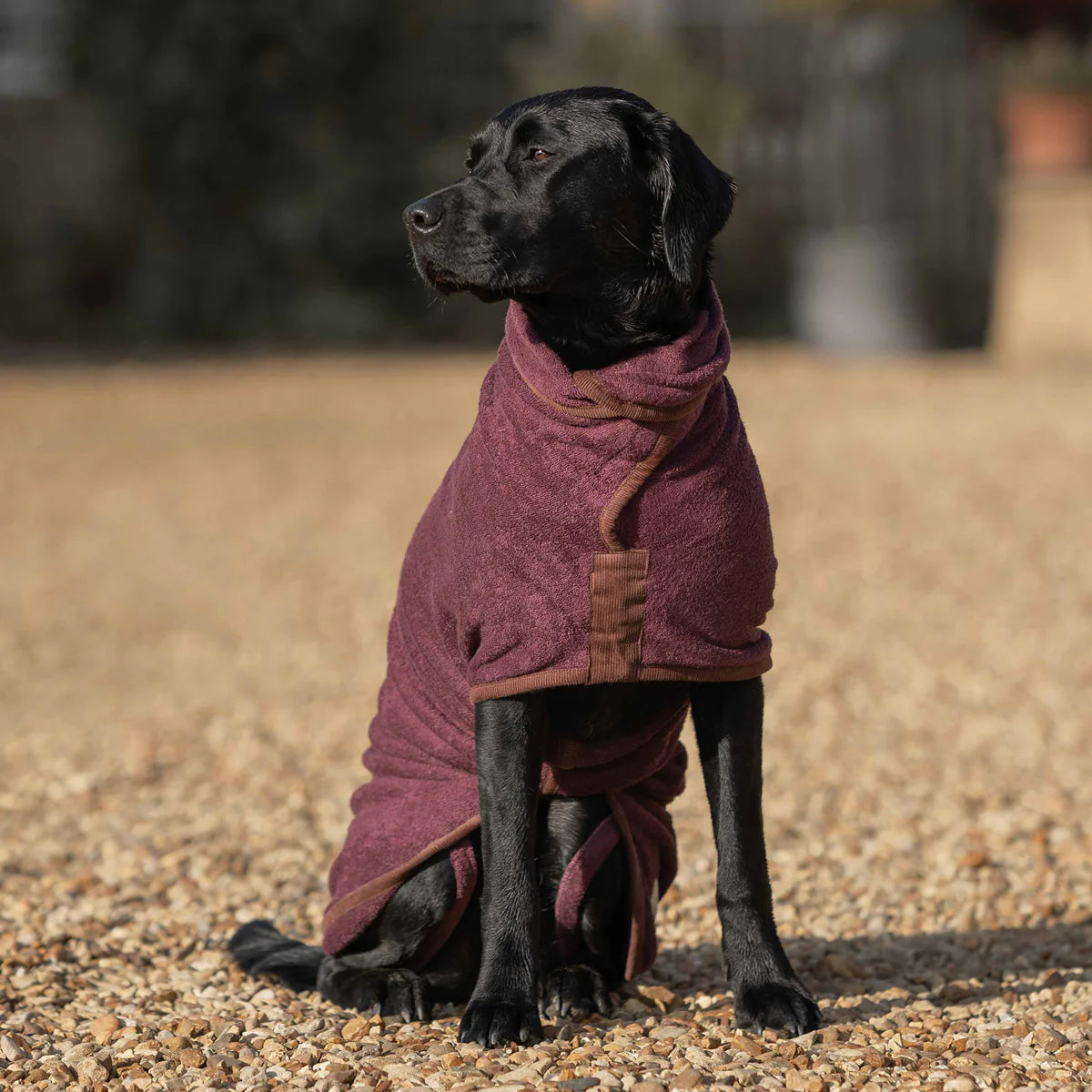 Ruff & Tumble Country Dog Drying Coat (corduroy trim)