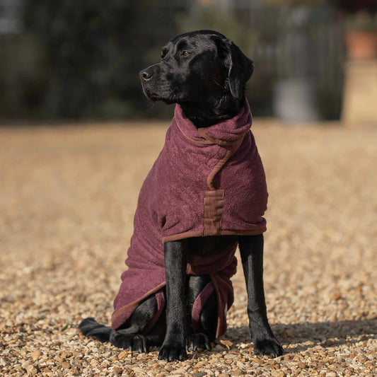 Ruff & Tumble Country Dog Drying Coat (corduroy trim)