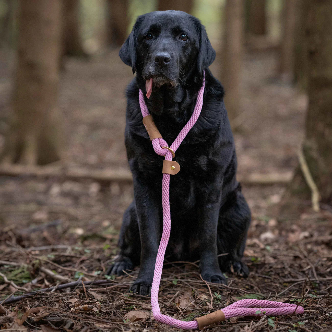 Ruff & Tumble - Slim Clip Lead