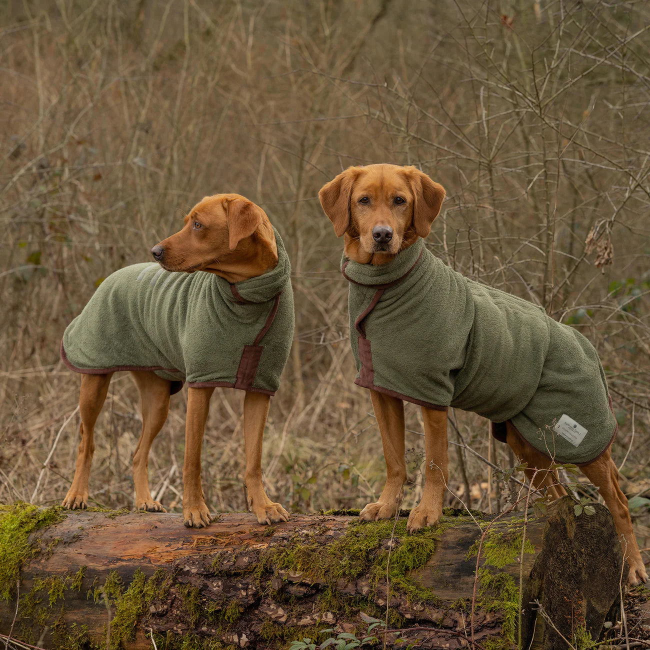 Ruff & Tumble Country Dog Drying Coat (corduroy trim)