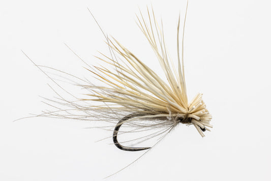 Tim Wood Elk and CDC