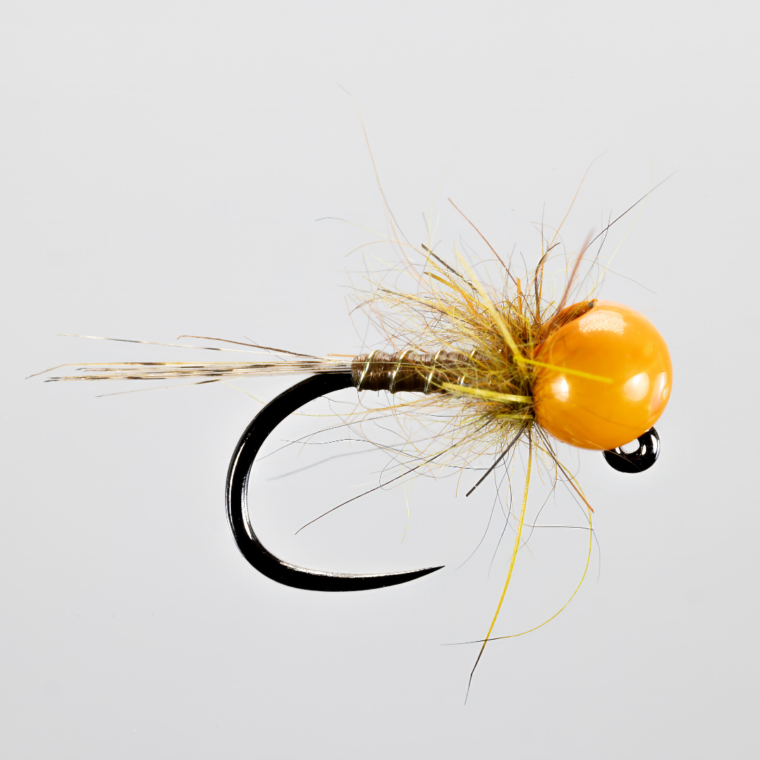 Steve Bircumshaw Vitamin C Bug