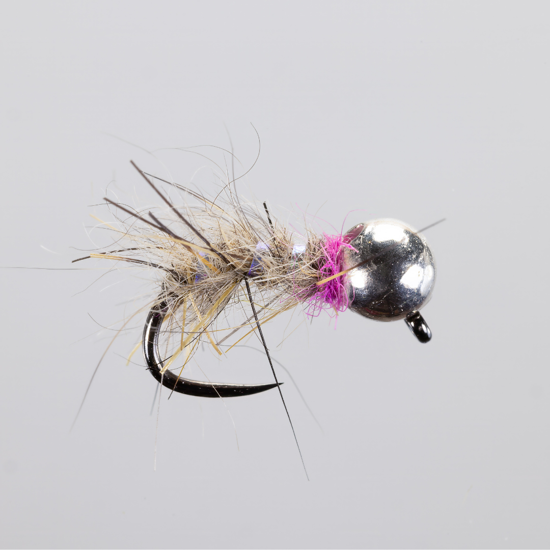 Steve Bircumshaw Pink Collar Squirrel