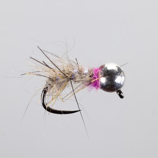 Steve Bircumshaw Pink Collar Squirrel