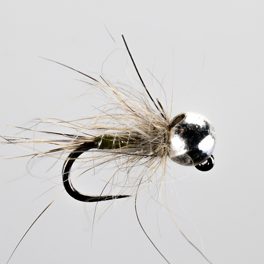 Steve Bircumshaw Little Olive