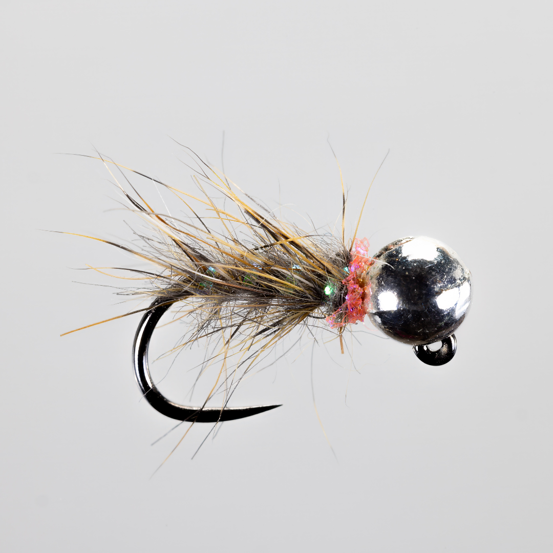 Steve Bircumshaw Pink Collar Squirrel