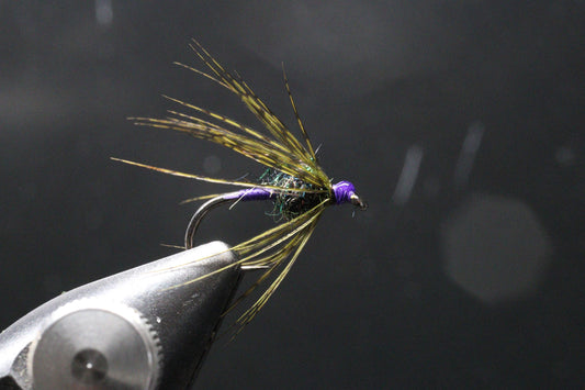 Chris Flay Purple and Peacock Spider