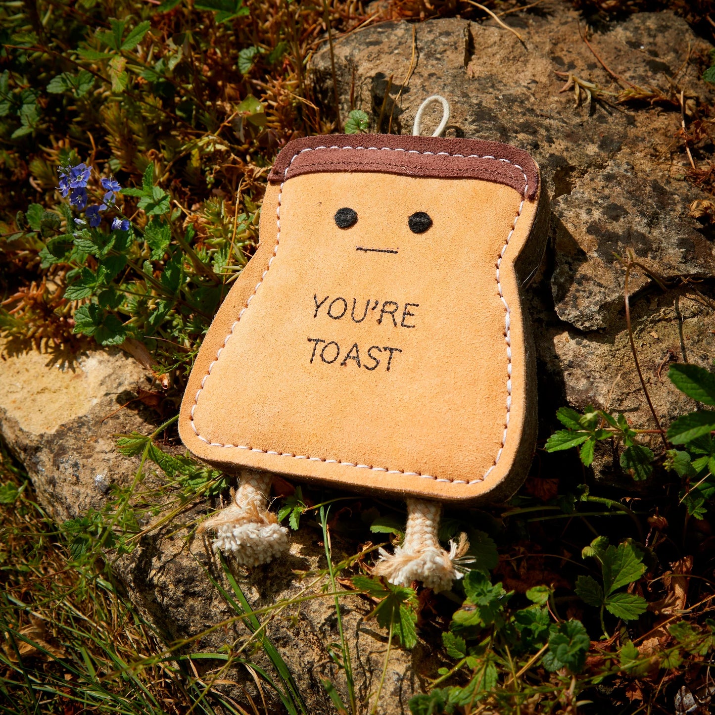 You're Toast, Eco Toy