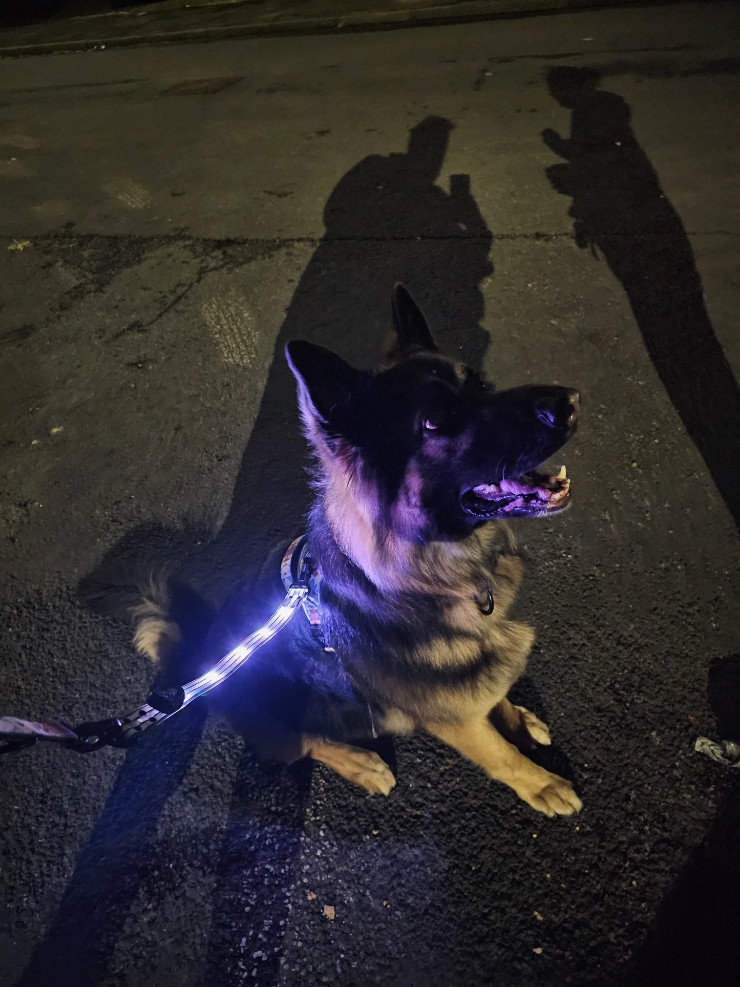Twiggy Tags TrekBright™ Light-Up Lead Extension