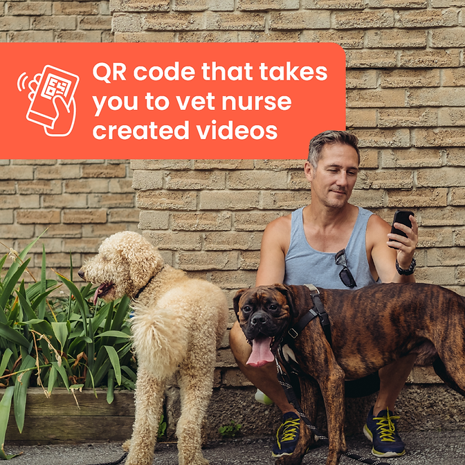 Poorly Paws | Dog First Aid Kit