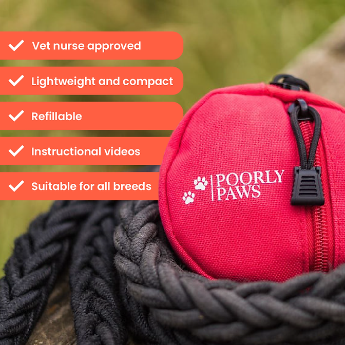 Poorly Paws | Dog First Aid Kit