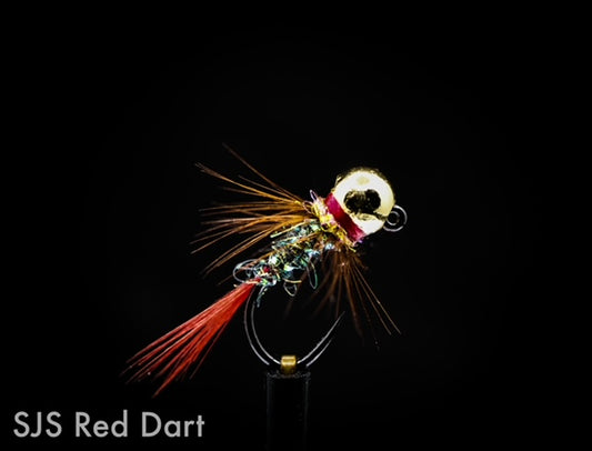 Steve Shorrock Red Dart