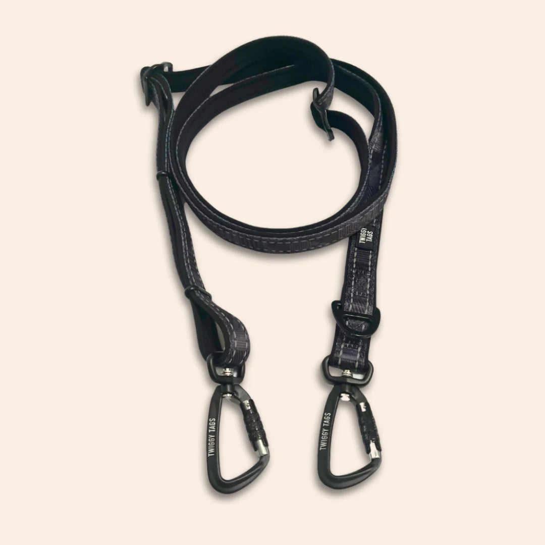 Twiggy Tags Trailfinder Multi-Way Lead