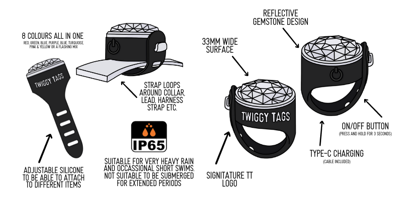 Twiggy Tags Trailfinder Light