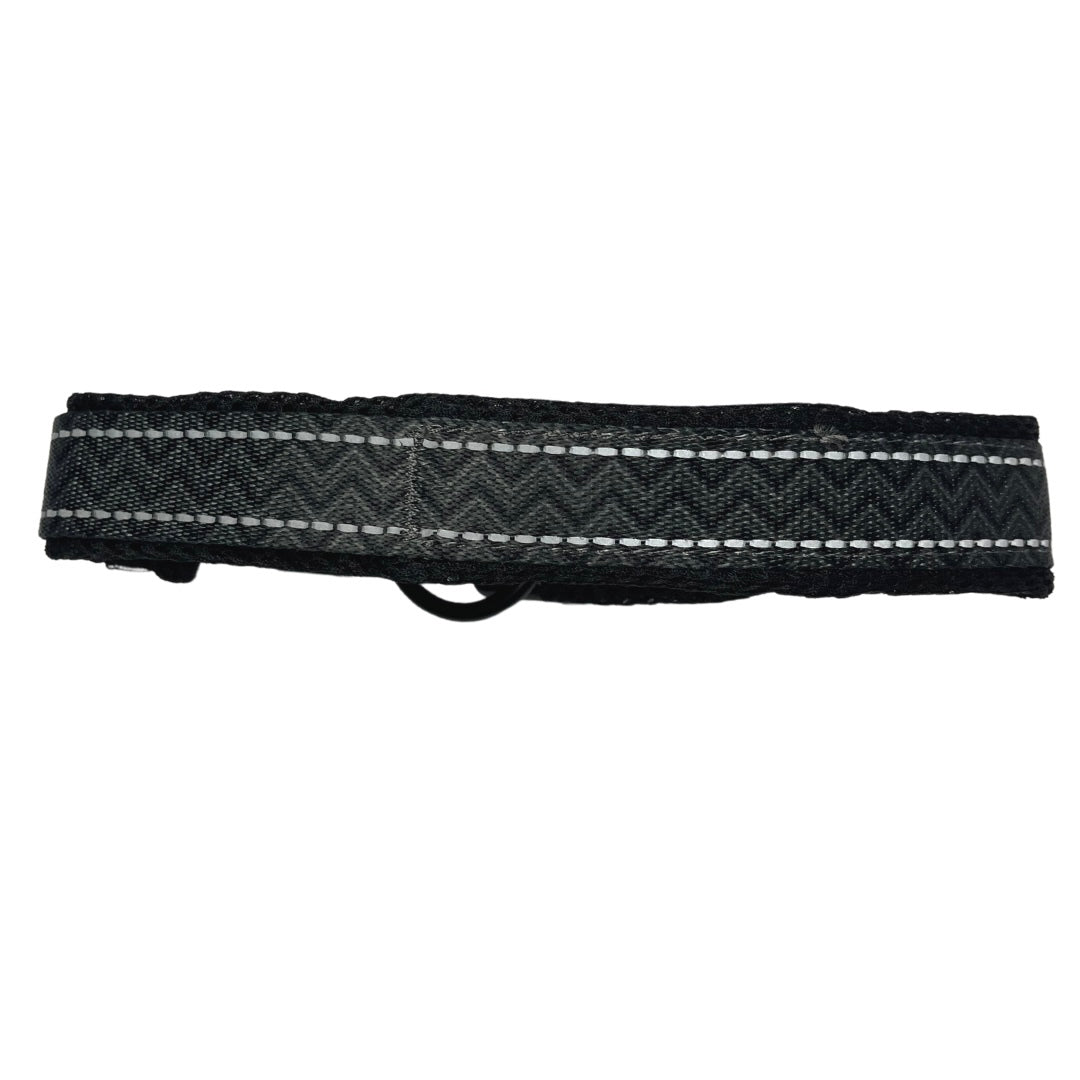 Twiggy Tags Adventure Dog Collar