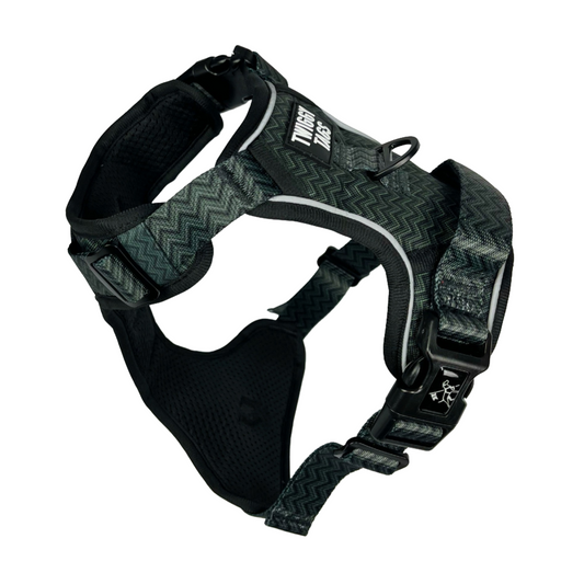 Twiggy Tags Adventure Harness