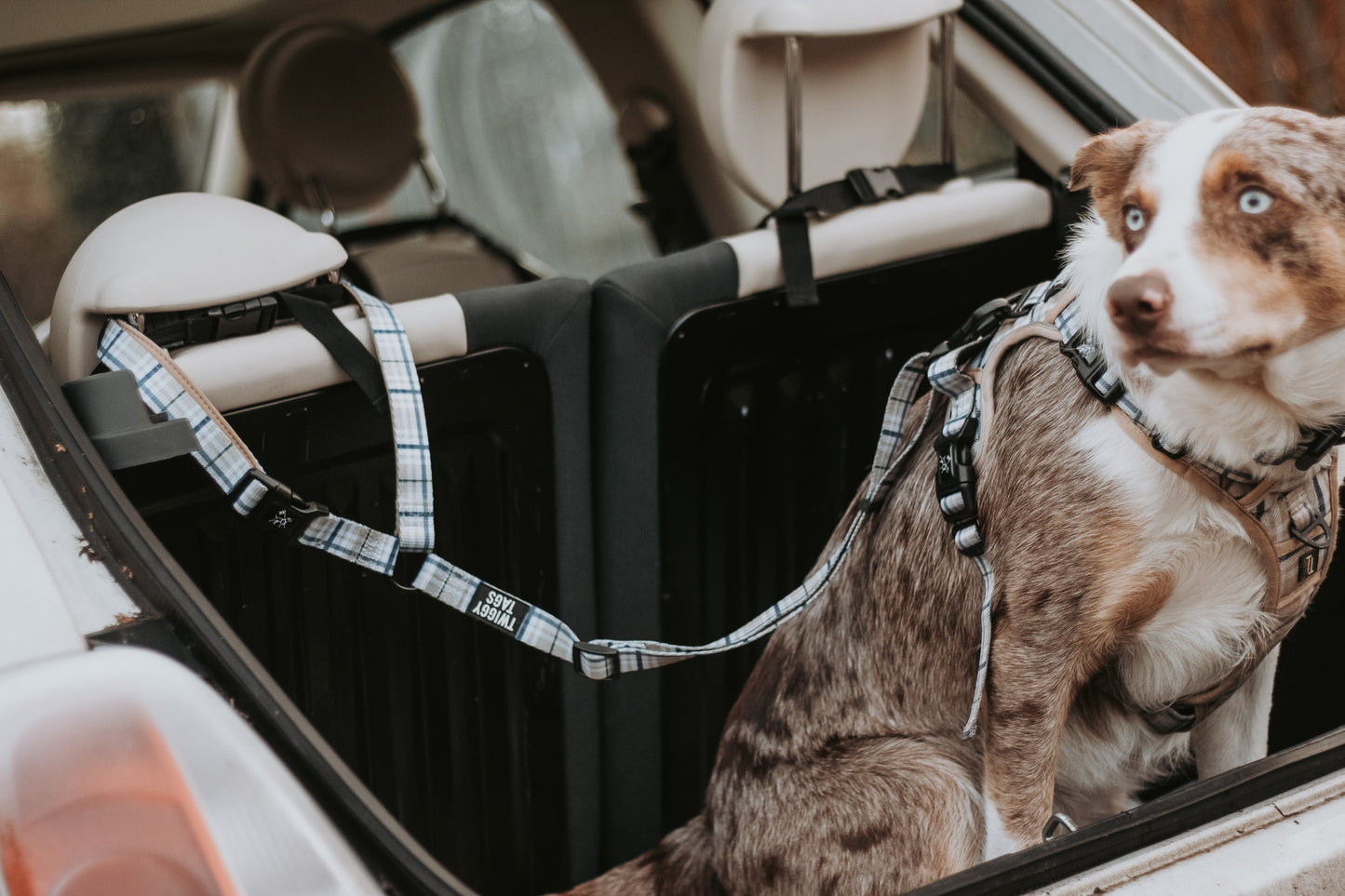 Twiggy Tags Adventure Seatbelt