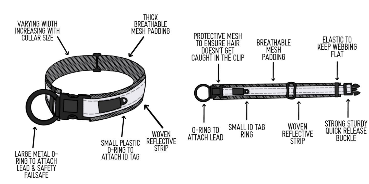 Twiggy Tags Adventure Dog Collar