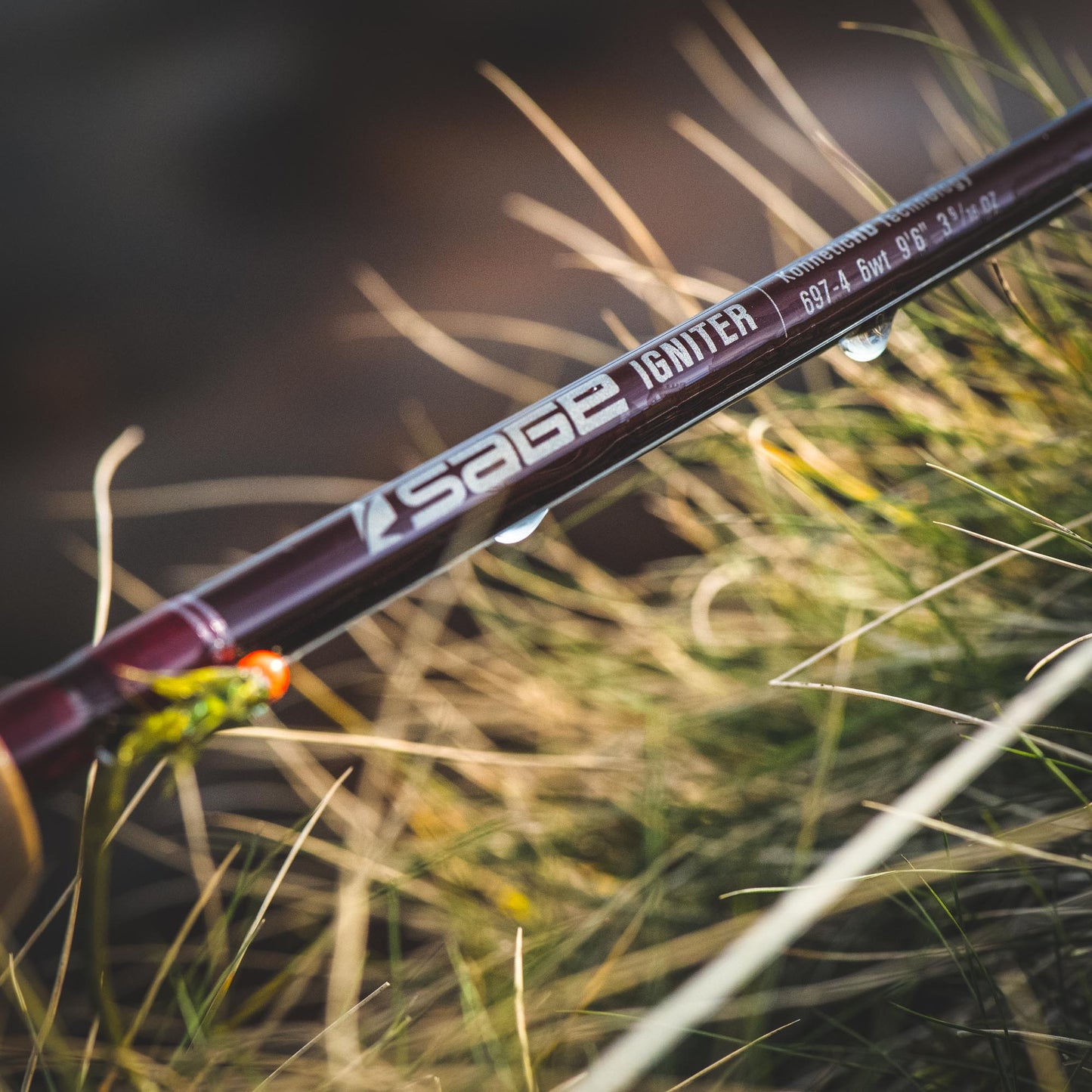 Sage Igniter Fly 4PC Rod