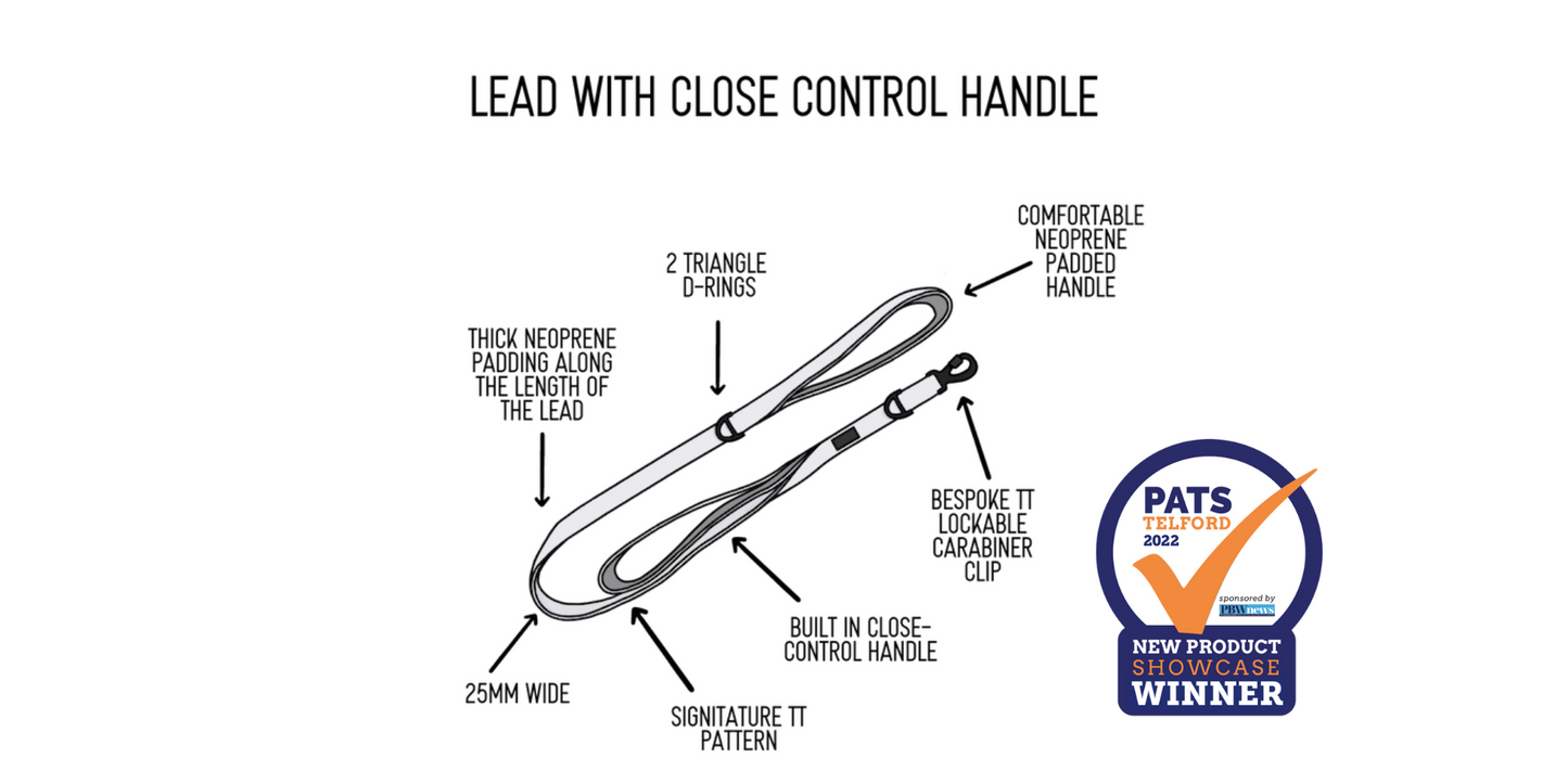 Twiggy Tags Adventure Lead