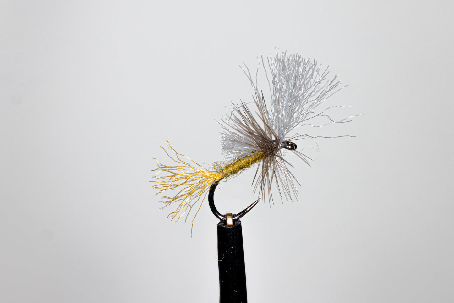 Phillipa Hake Baetis Cripple