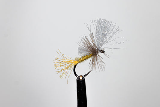 Phillipa Hake Baetis Cripple