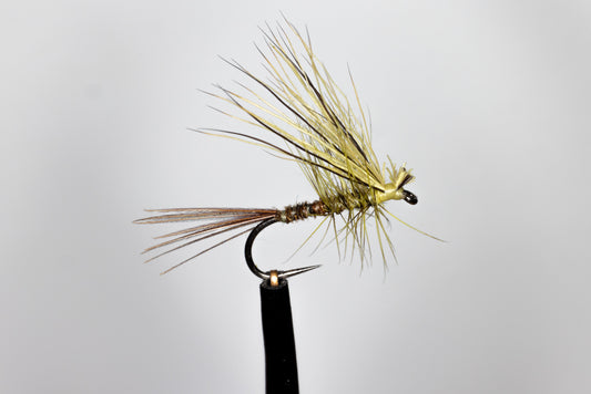 Philip White Mayflies