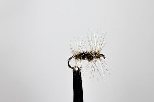 Philip White Double Badger