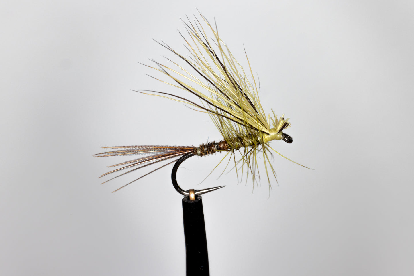 Philip White Mayflies