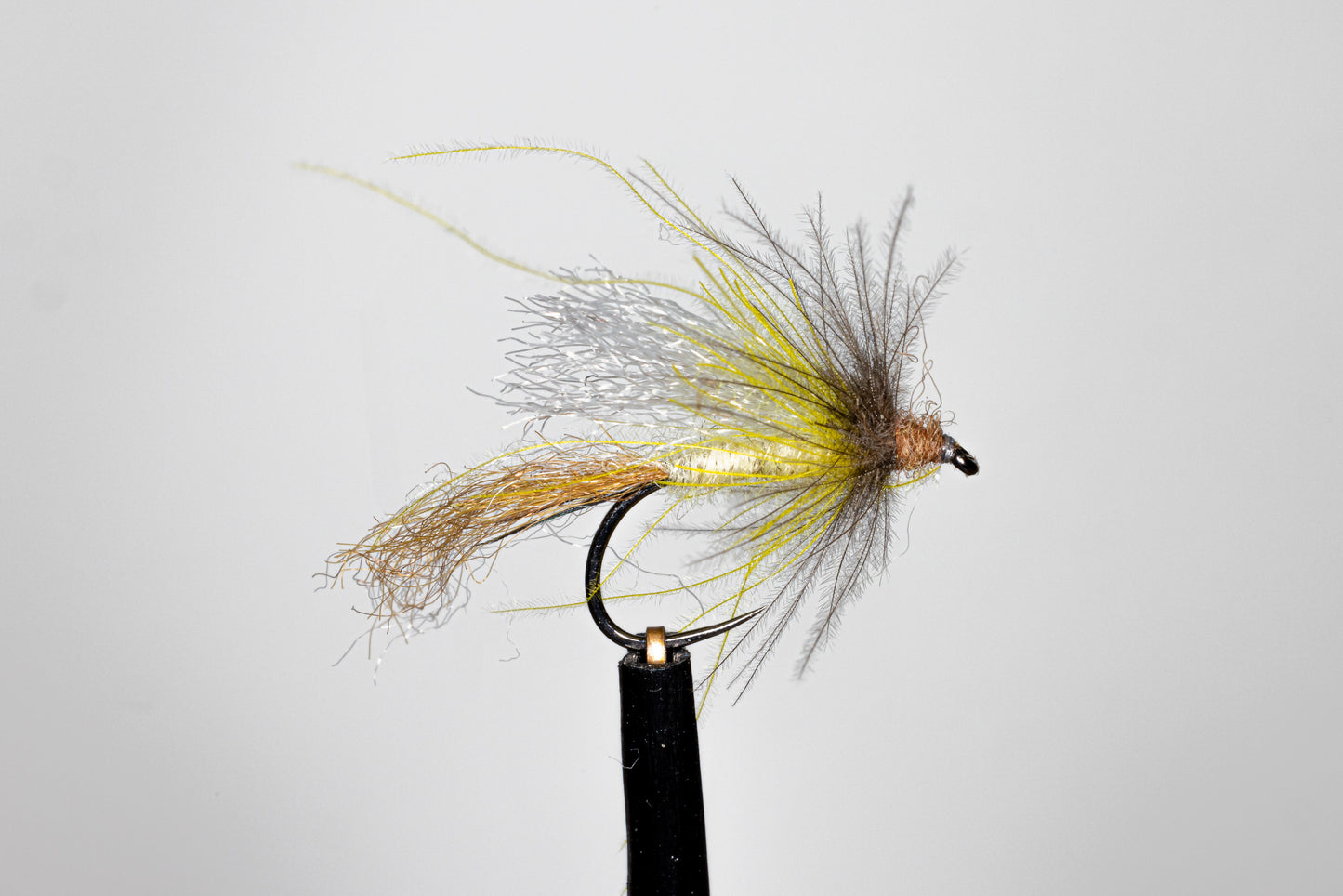 Phillippa Hake Emergers