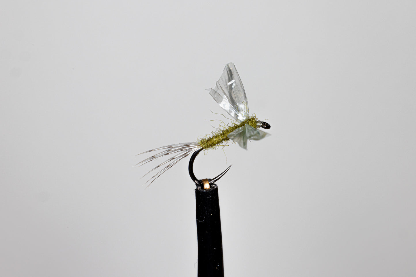 Phillippa Hake Don's Casualty Dun