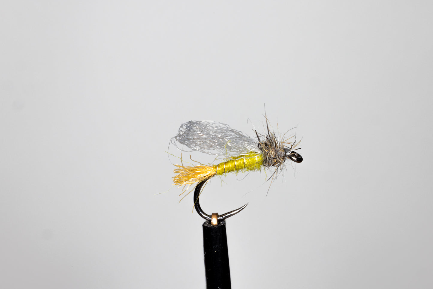 Phillippa Hake Irish Caddis