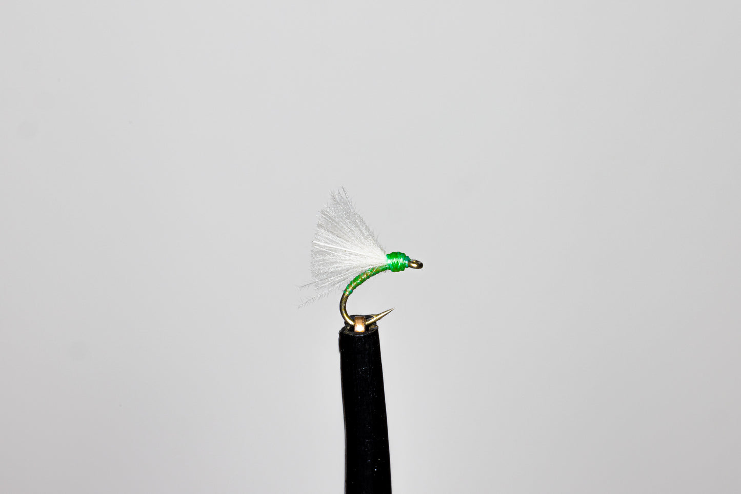 Phillippa Hake Greenfly