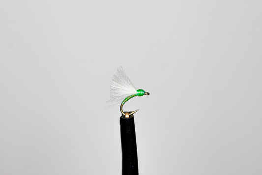 Phillippa Hake Greenfly