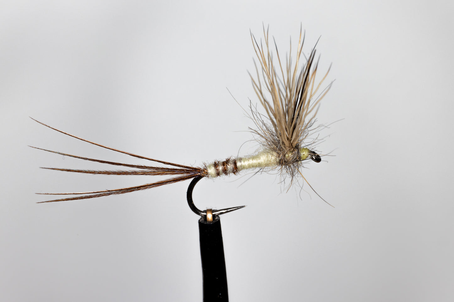 Philip White Mayflies