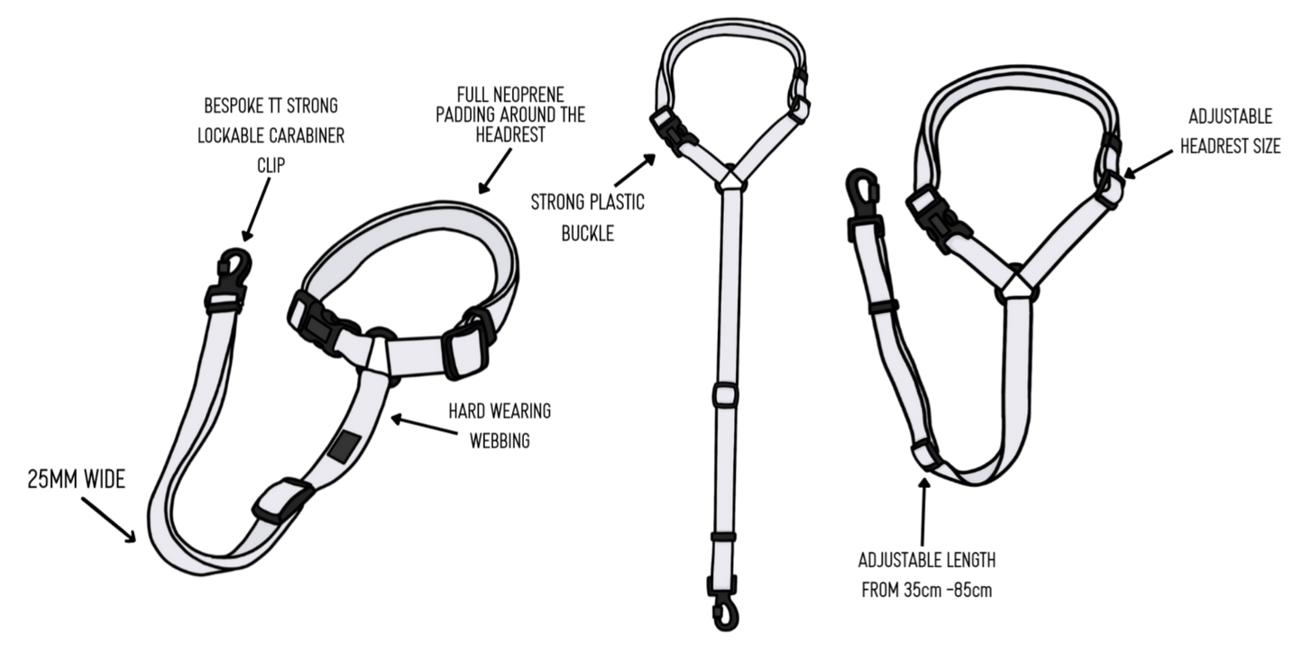 Twiggy Tags Adventure Seatbelt