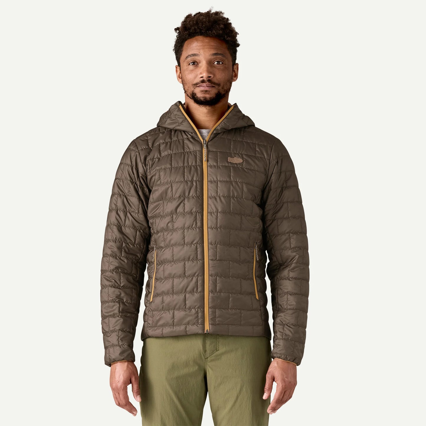 Patagonia M's Nano Puff Fitz Roy Trout Hoody