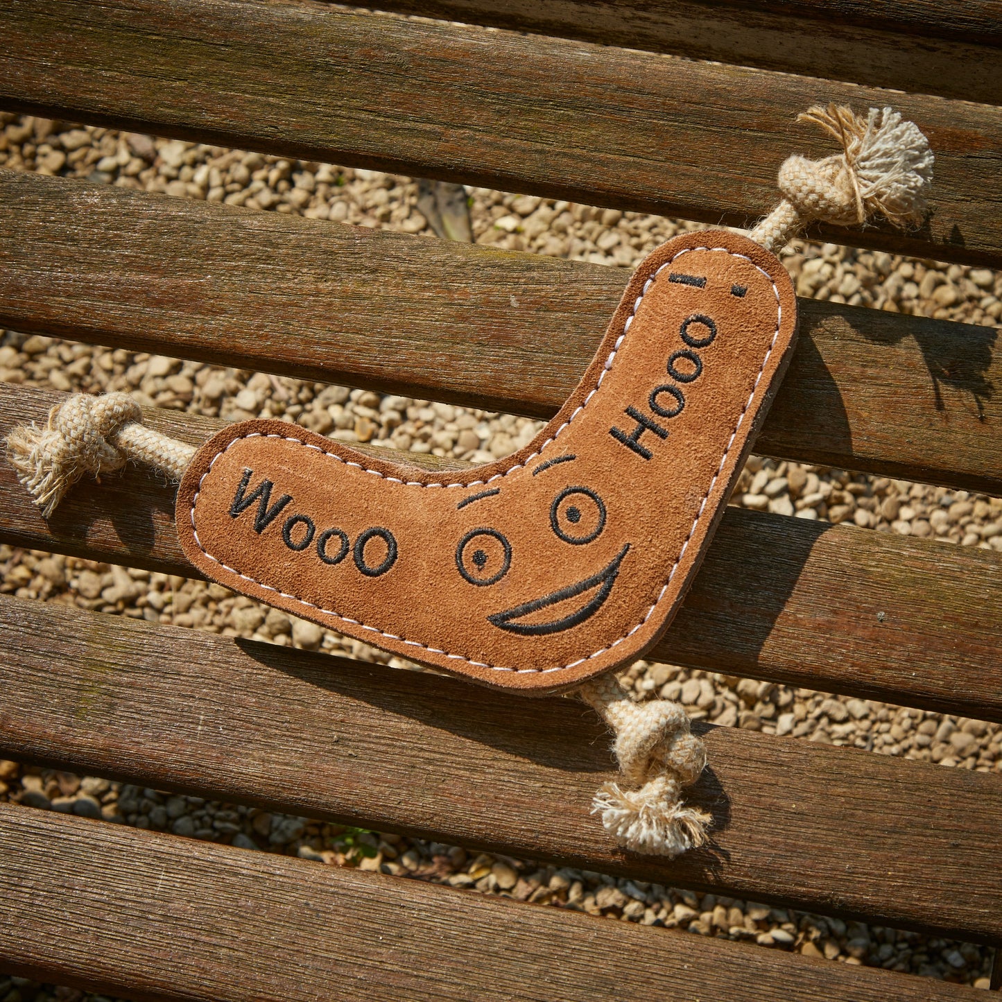 Benny the Boomerang, Eco Toy