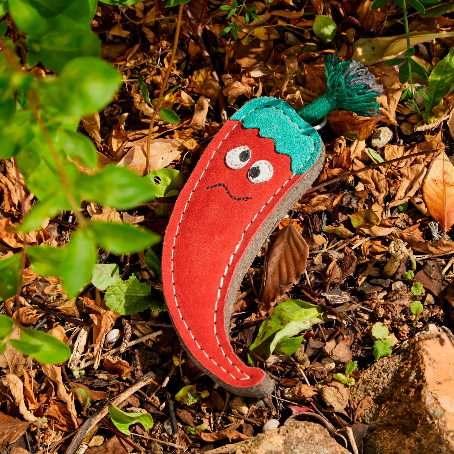 Chad the Red Hot Chilli Pepper, Eco Toy