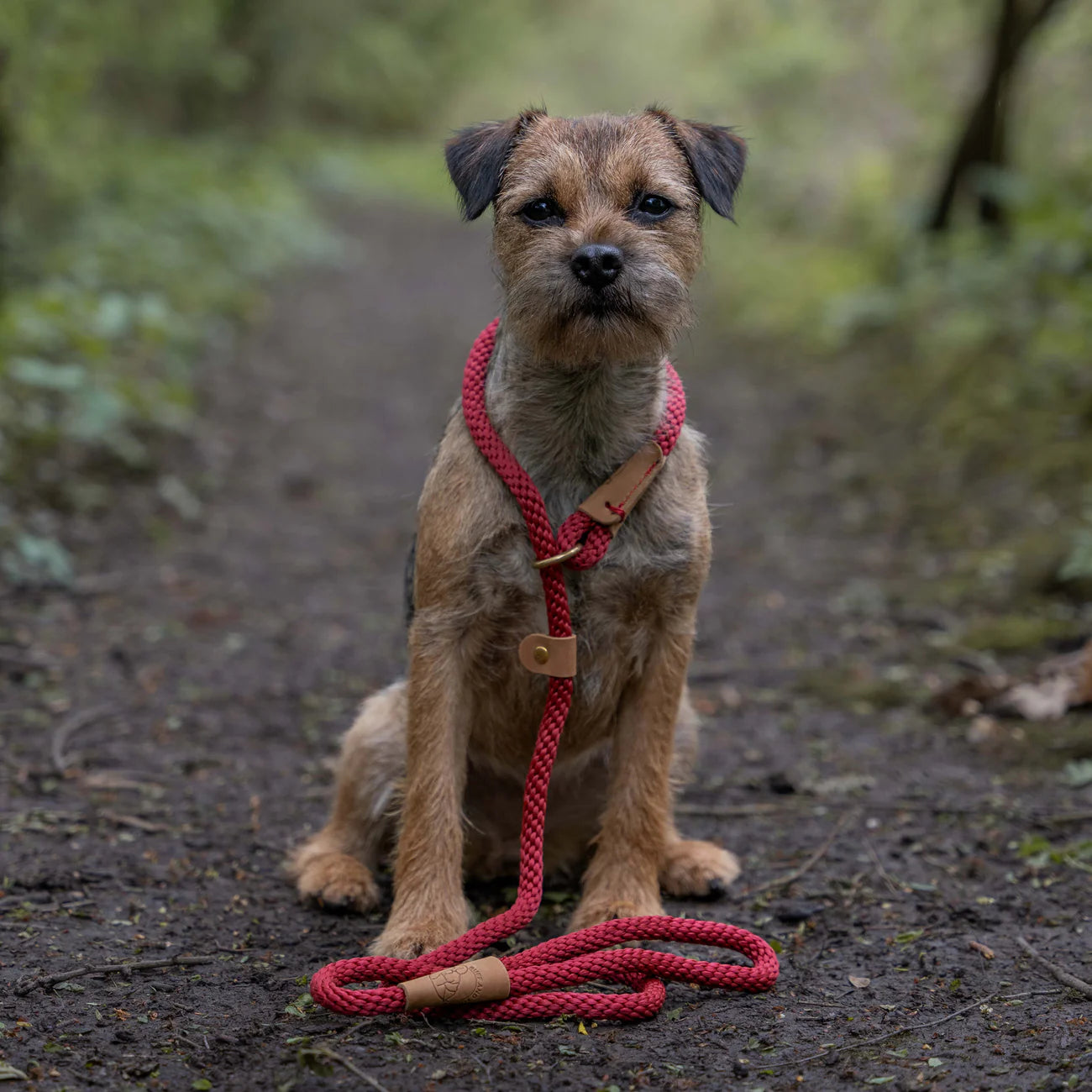 Ruff & Tumble Dog Leads - Thick Clip Lead