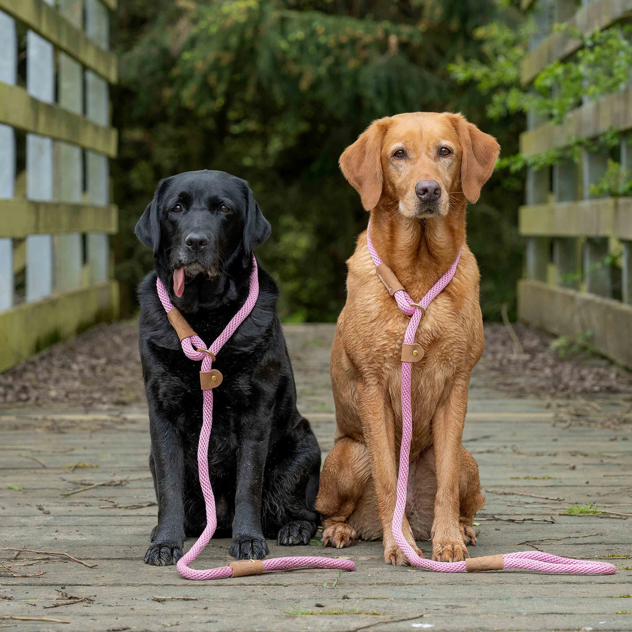 Ruff & Tumble Dog Leads - Thick Clip Lead