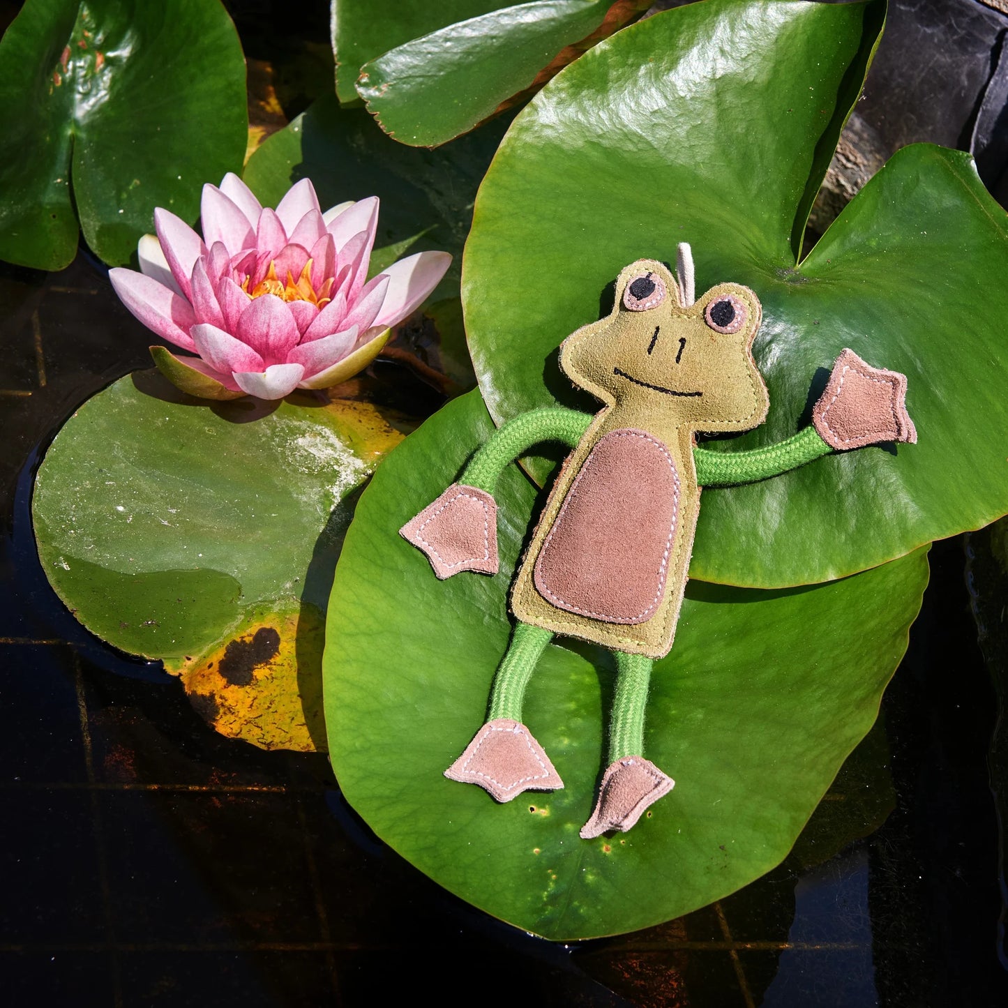 Francois Le Frog, Eco Toy