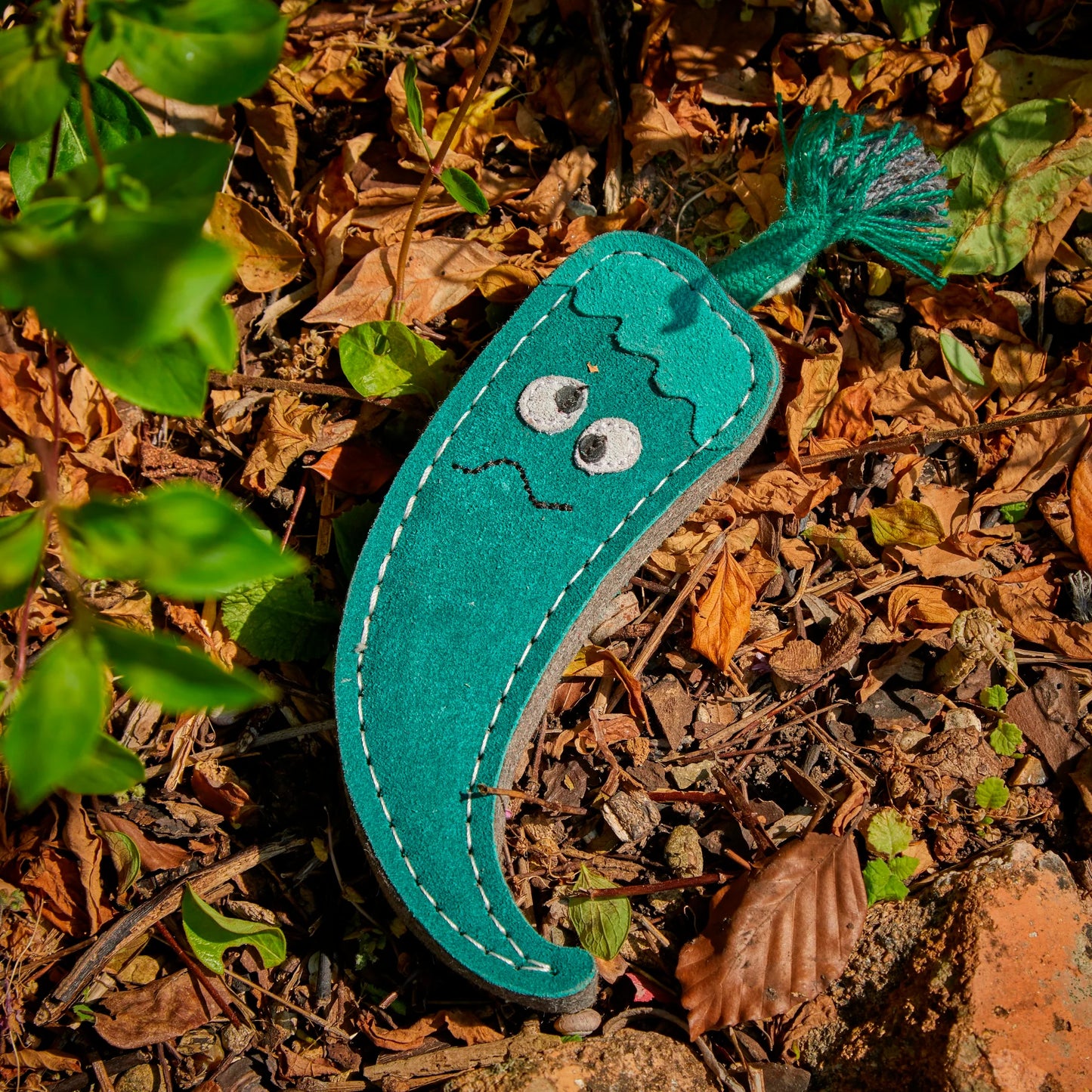 Juan the Jalapeno, Eco Toy