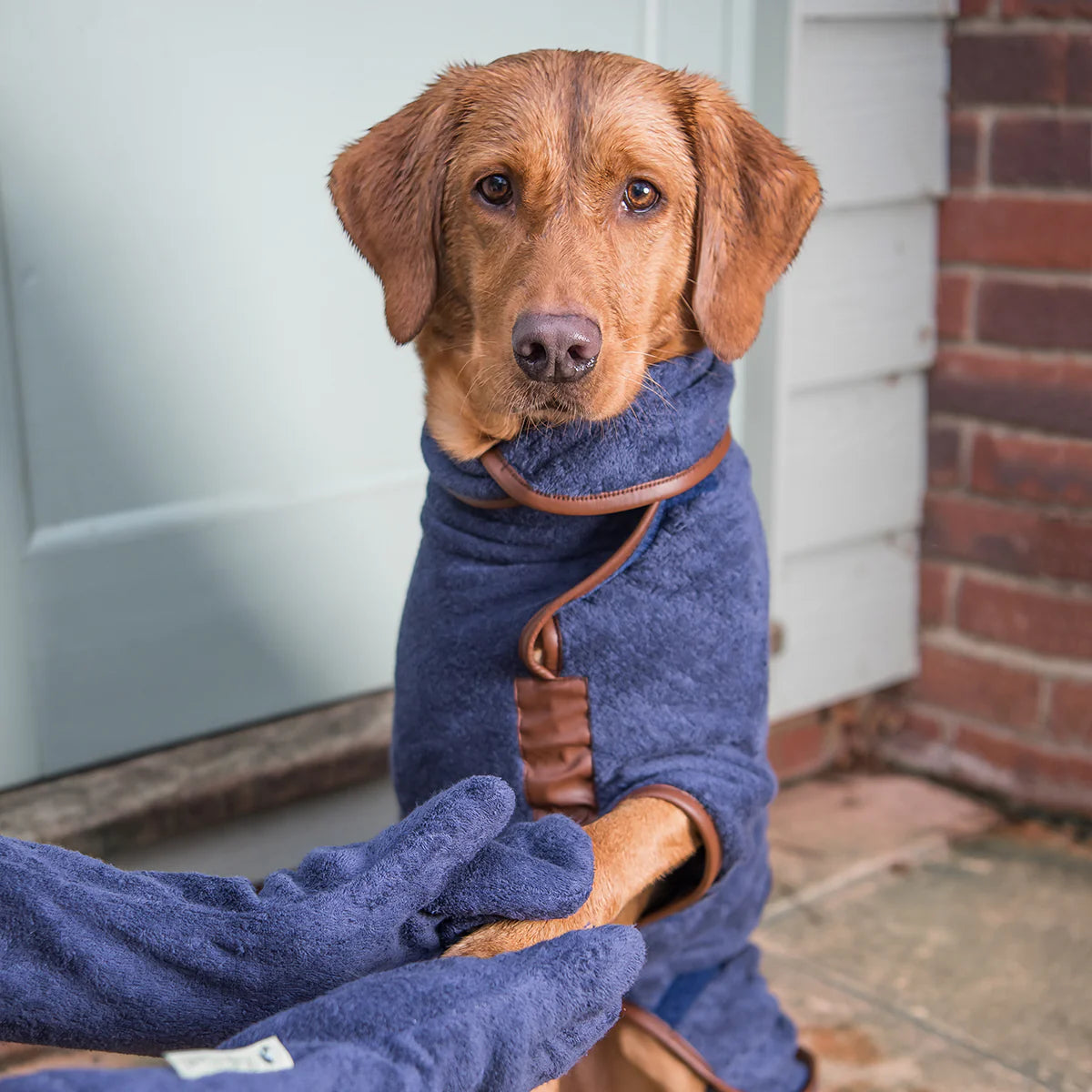 Ruff & Tumble Dog Drying Mitt